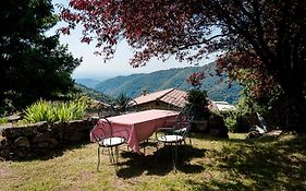 Domaine Du Vernadel
